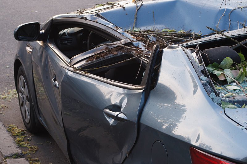 Car Damage from Tree