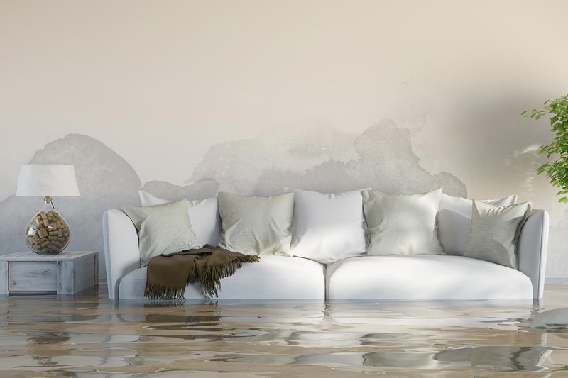 Flooding in Living Room
